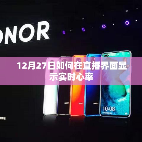 直播界面实时心率展示攻略,12月27日操作指南