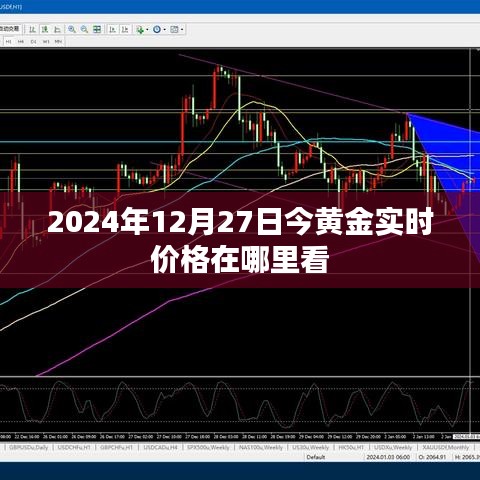 2024年黄金实时价格查询指南