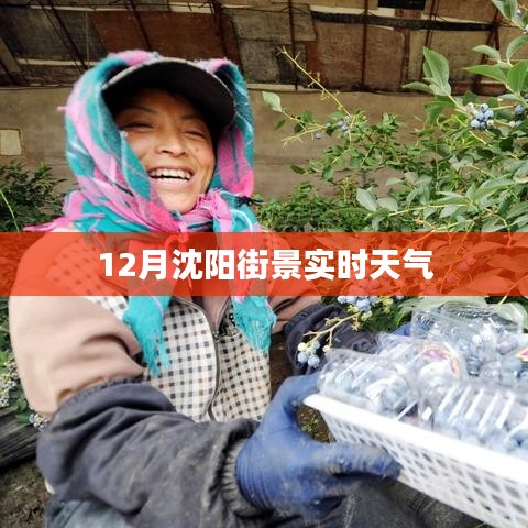 沈阳街景实时天气实拍