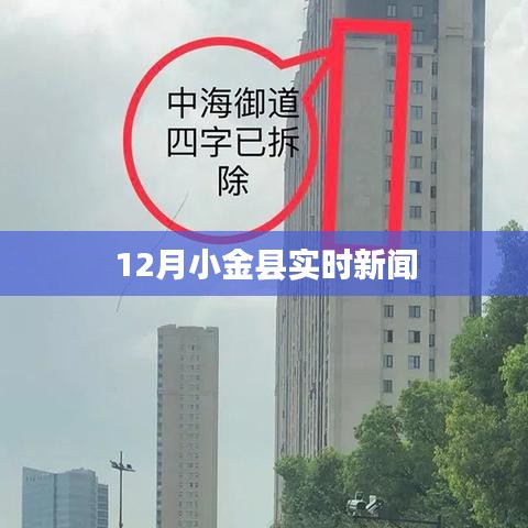 小金县最新实时新闻报道
