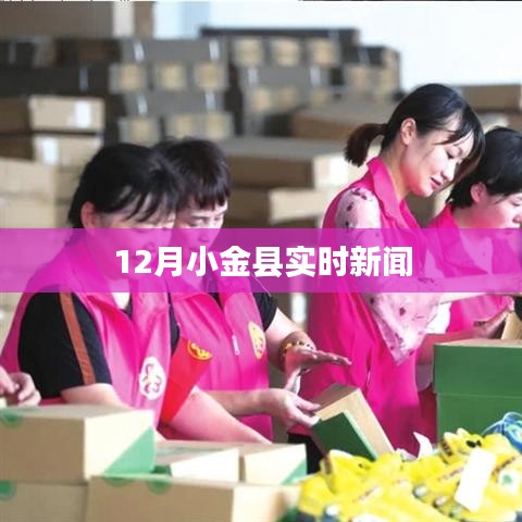 小金县最新实时新闻报道