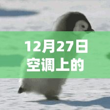 空调实时温度准确性揭秘,12月27日温度显示真相探究