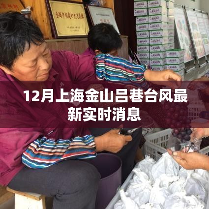 上海金山吕巷台风实时更新消息，最新动态速递