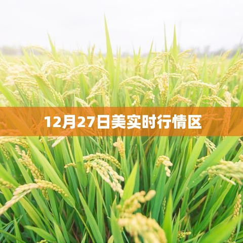 美国股市实时行情分析