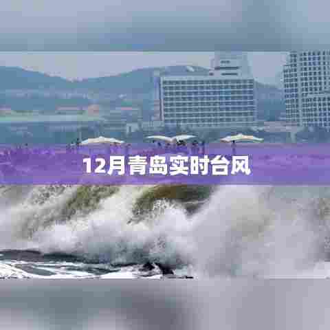 青岛实时台风动态追踪