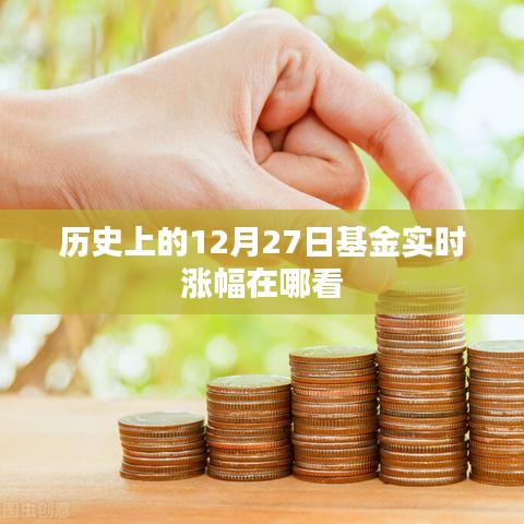 历史基金实时涨幅查询指南,如何查看基金在特定日期的表现