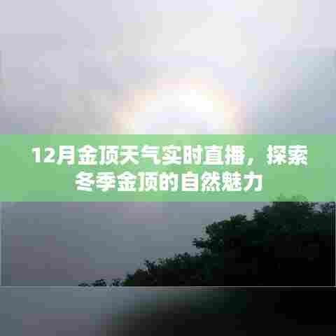 关于我们 第329页