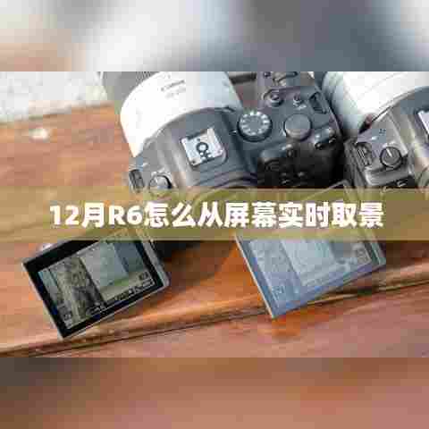R6相机屏幕实时取景方法解析