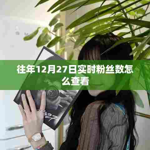 如何查看往年12月27日实时粉丝数统计
