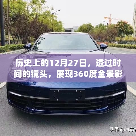 一花独放 第5页