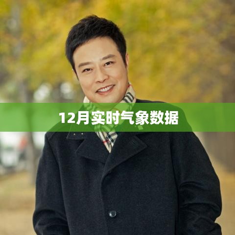 最新气象数据报告,12月实时气象分析