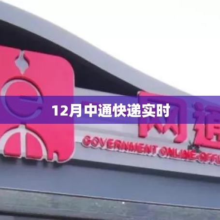 中通快递实时物流跟踪查询(12月版)