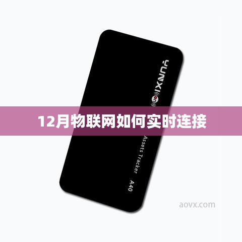 物联网实时连接技术解析，12月最新进展