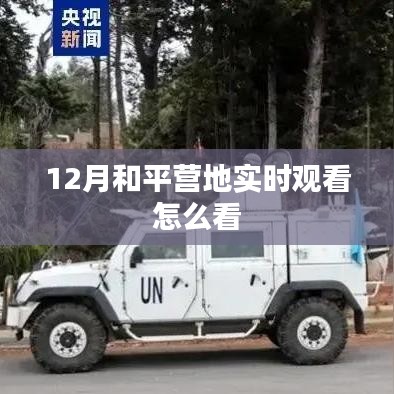 和平营地实时观看指南,12月观看教程