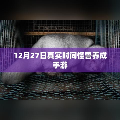 真实时间怪兽养成手游，12月27日开启探索之旅