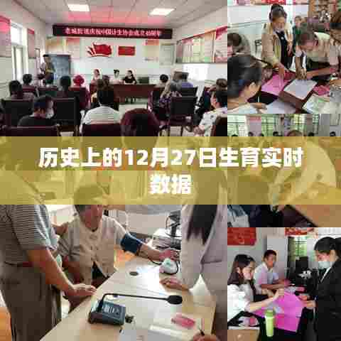 历史上的12月27日生育数据概览