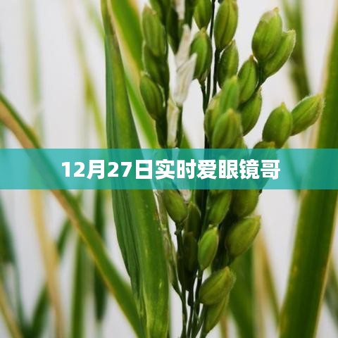 实时关注,爱眼镜哥,12月27日动态