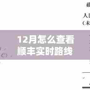顺丰实时路线查询攻略，12月版