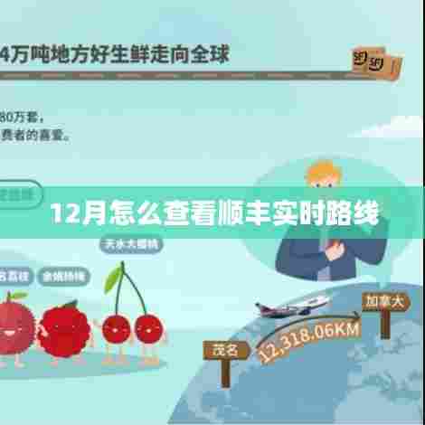 顺丰实时路线查询攻略,12月版