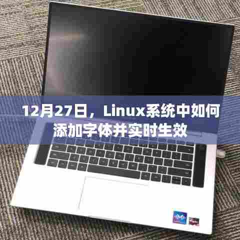 Linux系统添加字体并实时生效的方法