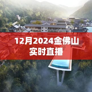 金佛山实时直播，探寻冬季美景奇观