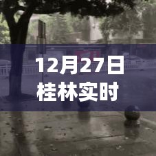 桂林最新气象图表格(实时更新)