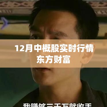 东方财富,揭秘12月中概股实时行情走势