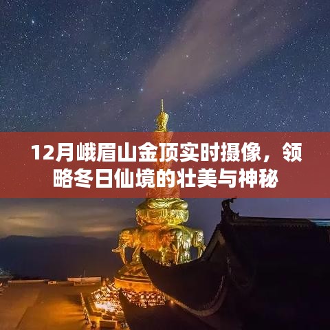 峨眉山金顶实时摄像,冬日的仙境壮美与神秘