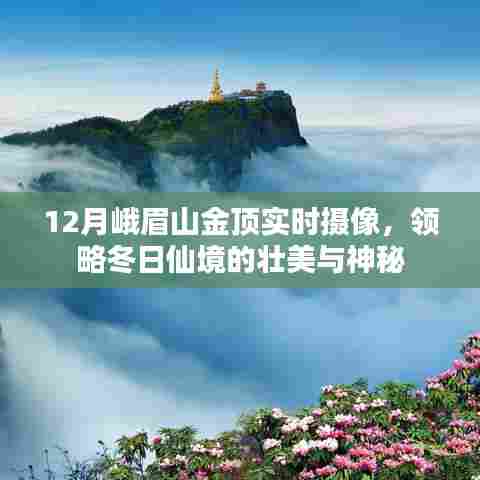 峨眉山金顶实时摄像,冬日的仙境壮美与神秘