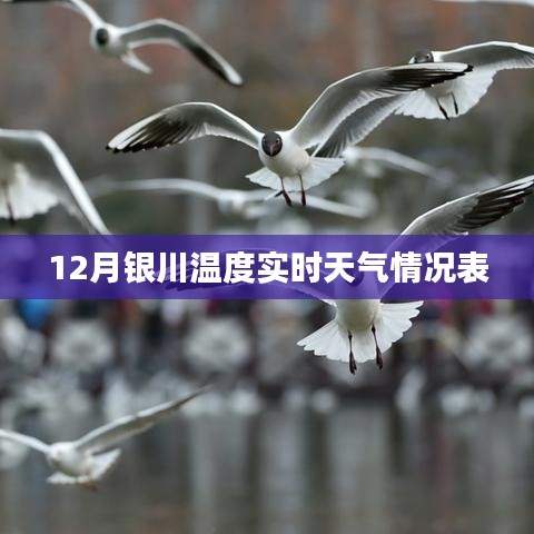 12月银川实时天气情况表