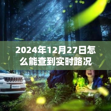 如何查询2024年12月27日实时路况信息