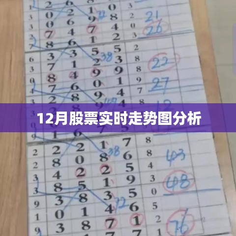 12月股市行情走势图深度解析