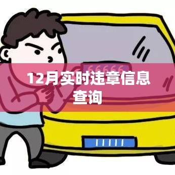 12月实时违章查询结果在线查看