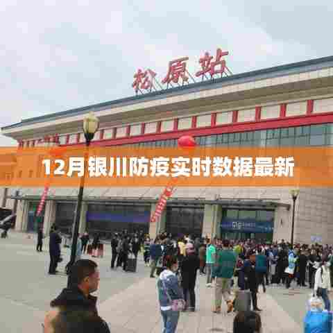 银川12月防疫实时数据更新
