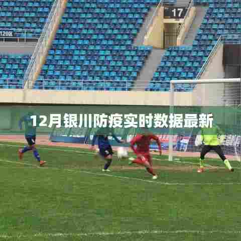 银川12月防疫实时数据更新