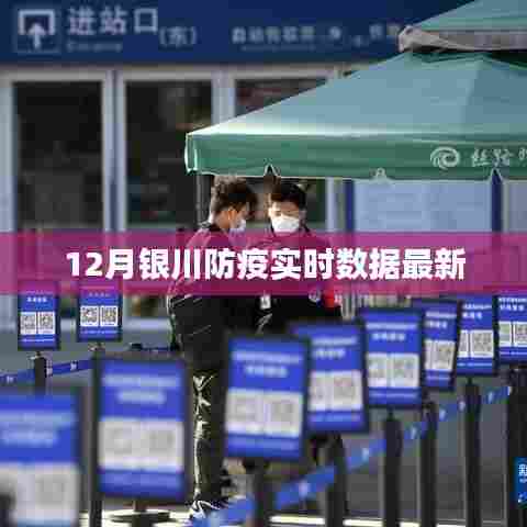 银川12月防疫实时数据更新