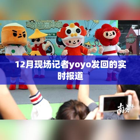 12月现场直击,yoyo记者的实时报道