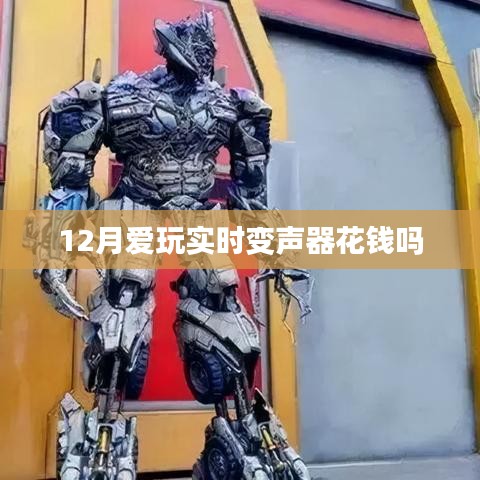 实时变声器12月使用费用解析