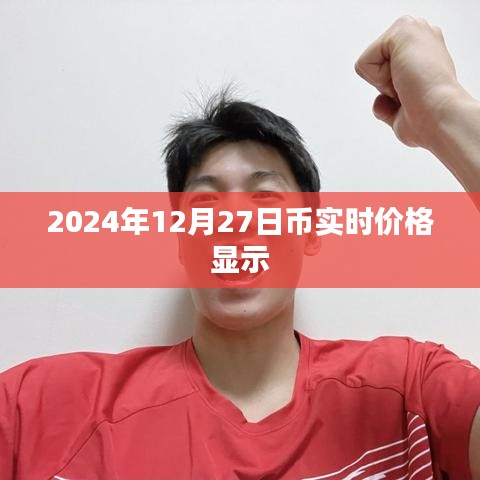 2024年12月27日加密货币实时价格概览