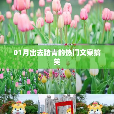 一月踏青乐趣多,笑翻全场热门文案!