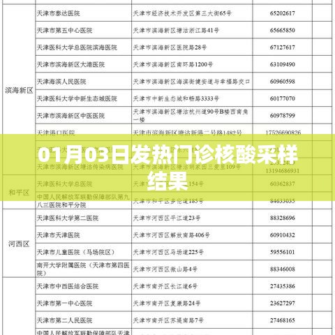 01月03日发热门诊核酸采样结果公布