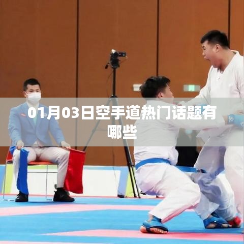 空手道热门话题大揭秘,一月三日最新动态