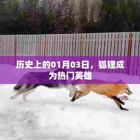 狐狸成为热门英雄的日期,历史上的一月三日
