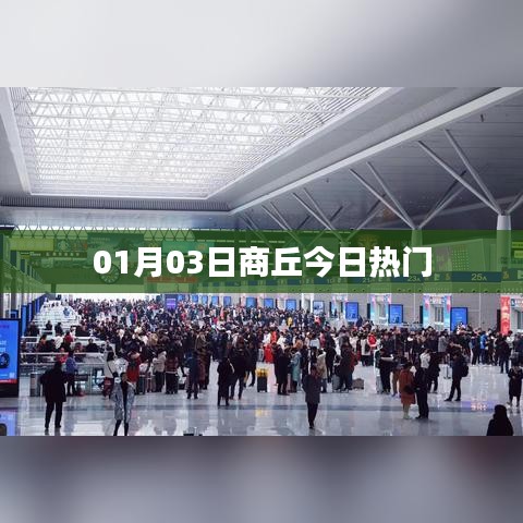 商丘最新热门资讯，今日热点聚焦