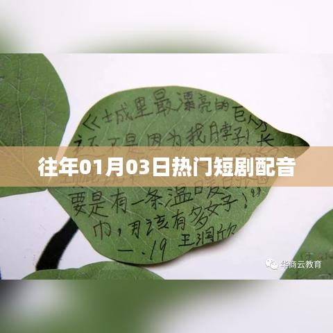 历年一月三日大热短剧配音盘点