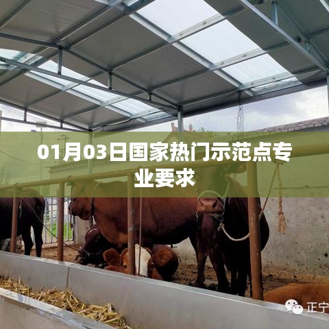 国家热门示范点专业精选要求,01月03日解读