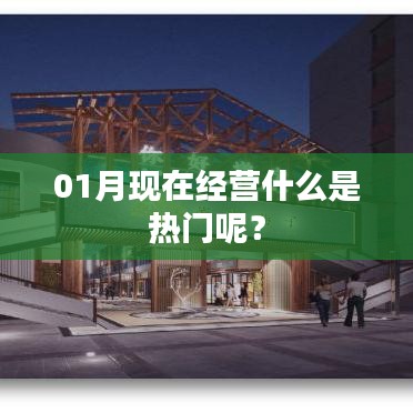 最新热门经营项目一月份解析