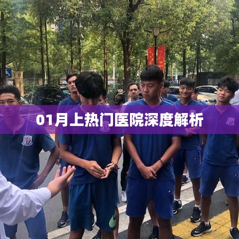 深度解析,热门医院一月动态及趋势