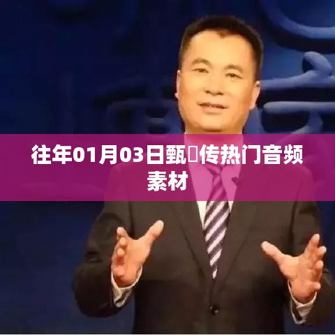 甄嬛传热门音频素材回顾,历年经典回顾