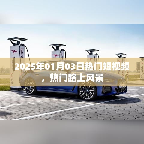 走马观花 第5页